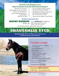 SHANTAHLIA STUD - Harnesslink