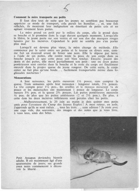 Le Jeune Naturaliste – Septembre 1958.
