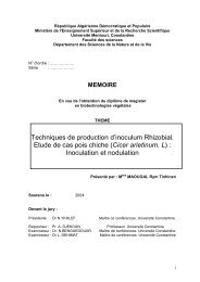 Techniques de production d'inoculum rhizobial .Etude