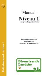 Kriteriemanual - niveau 1 - Blomstrende Landsby