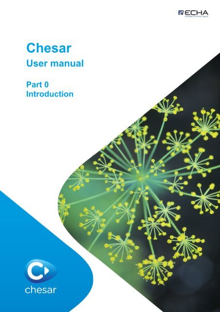 chesar-europa