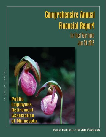 Comprehensive Annual Financial Report - Minnesota State ...