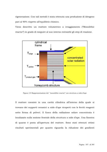 Rapporto TEPSI I anno