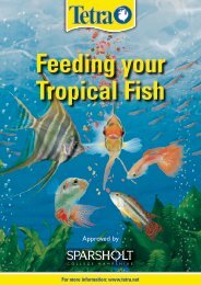 Feeding your Tropical Fish - Tetra