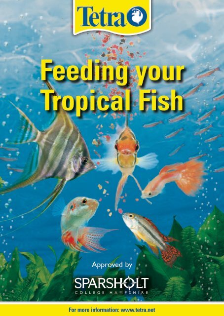 Feeding your Tropical Fish - Tetra