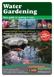 Water Gardening - Maidenhead Aquatics