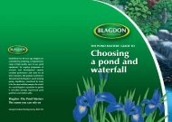 Choosing a pond and waterfall(1.75MB)