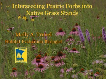 Interseeding Prairie Forbs into Native Grass Stands