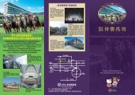 阪神賽馬場擁有日本最大規模的順時針賽道 - Horse Racing in Japan