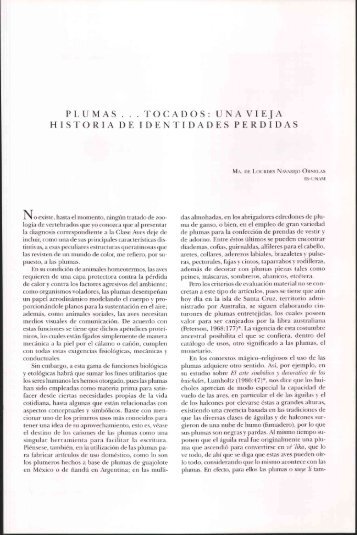 plumas . . . tocados: una vieja historia de identidades perdidas