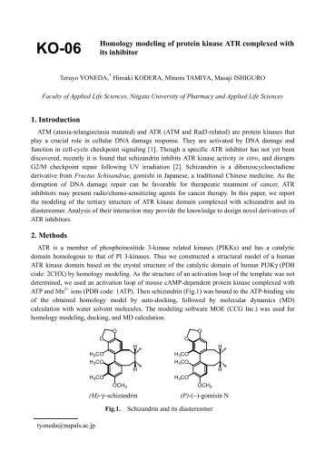 Homology modeling of protein kinase ATR complexed with its ...