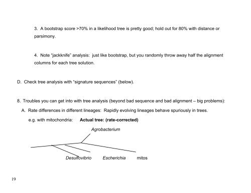 Lecture 3: A Brief Overview of Molecular Phylogeny - MCD Biology