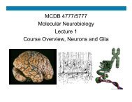 MCDB 4777/5777 Molecular Neurobiology Lecture 1 ... - MCD Biology