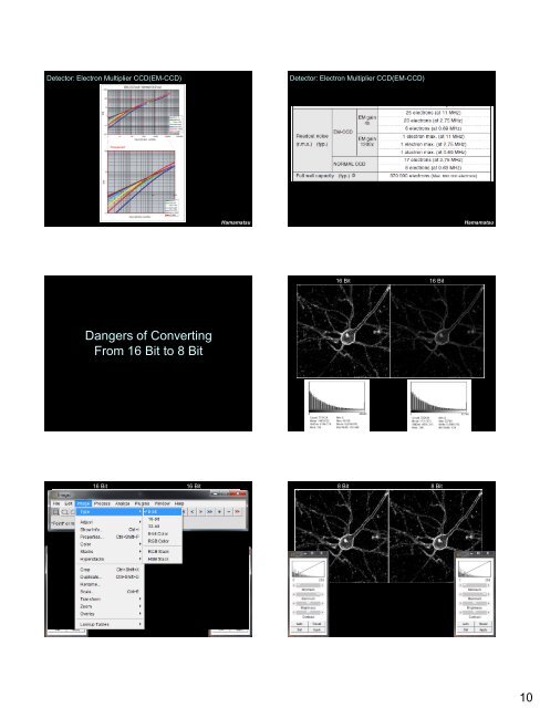 Fluorescence and Confocal Microscopy