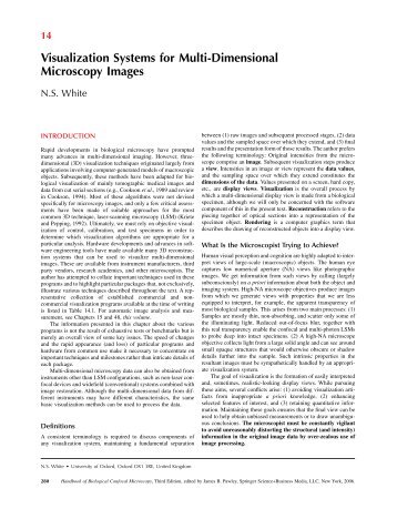 Visualization Systems for Multi-Dimensional Microscopy ... - Springer