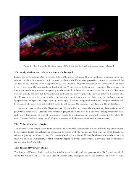 3D Processing and Analysis with ImageJ