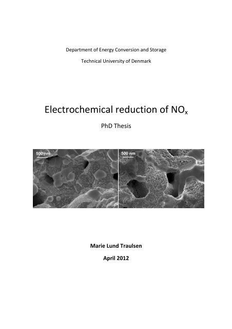 Electrochemical reduction of NOx - DTU Orbit