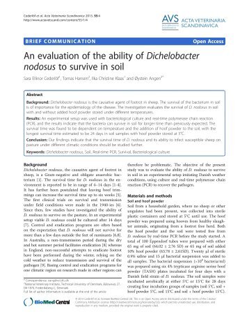 An evaluation of the ability of Dichelobacter nodosus to survive in soil