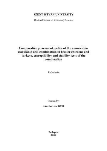 Comparative pharmacokinetics of the amoxicillin-clavulanic acid