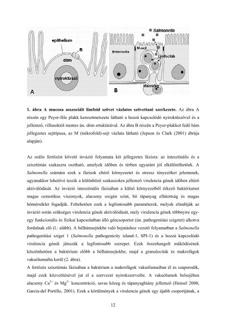 értekezés - Állatorvostudományi Doktori Iskola