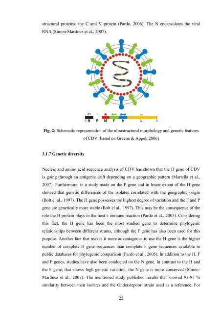 PhD Thesis Demeter Zoltan