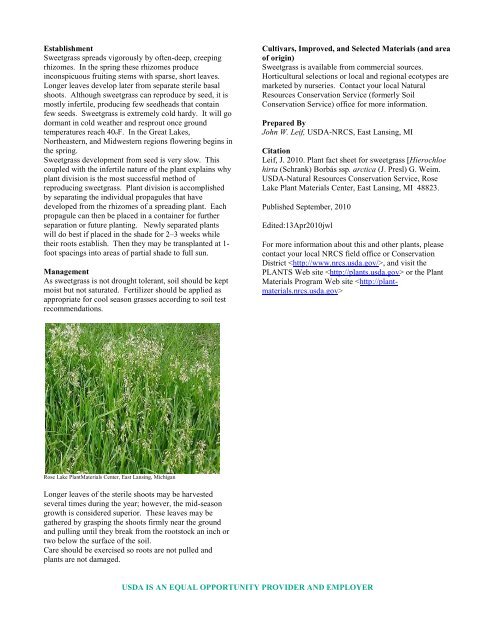 Northern Sweetgrass (Hierochloe hirta) - USDA Plants Database