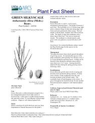 green silkyscale - USDA Plants Database - US Department of ...