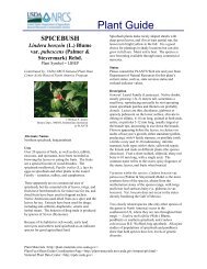 Plant Guide - USDA Plants Database - US Department of Agriculture