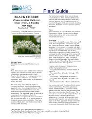 black cherry - USDA Plants Database - US Department of Agriculture