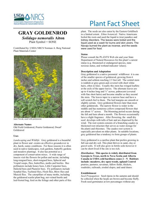 Gray Goldenrod Fact Sheet - USDA Plants Database