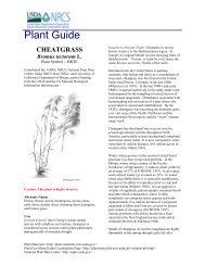 Plant Guide - USDA Plants Database - US Department of Agriculture