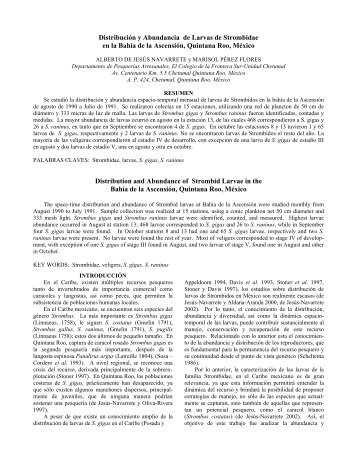 Distribución y Abundancia de Larvas de Strombidae en la Bahía de ...