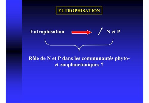 Milieu oligotrophe