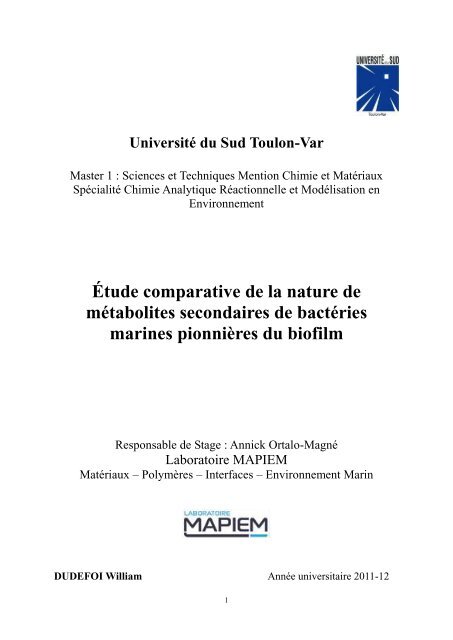 M - laboratoire PROTEE - Université du Sud - Toulon - Var