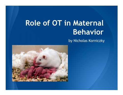 Role of OT in Maternal Behavior