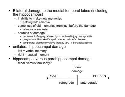 Long-term Memory