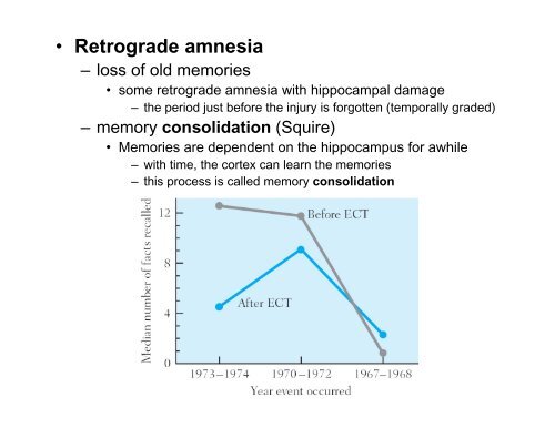 Long-term Memory