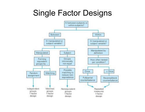 Single Factor Designs