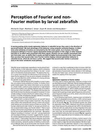 Perception of Fourier and non- Fourier motion by ... - ResearchGate