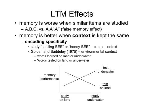 Long-term Memory