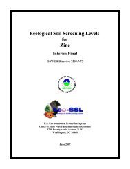 Zinc - The Risk Assessment Information System