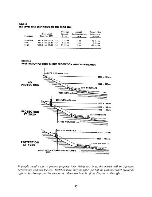 Kana et al. 1988. S. Carolina Charleston SLR Case Study