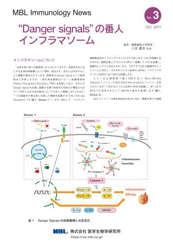 “Danger signals”の番人 インフラマソーム