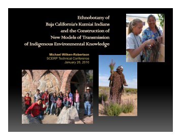 Ethnobotany of Baja California's Kumiai Indians j and the ...