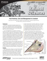 ID-321-W Hoof Anatomy, Care and Management in Livestock