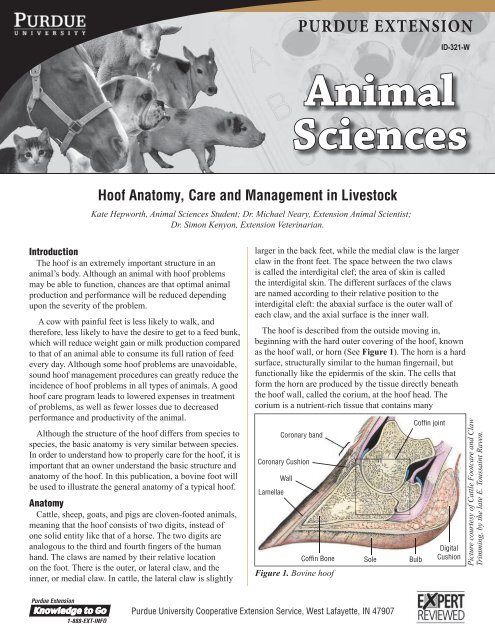 ID-321-W Hoof Anatomy, Care and Management in Livestock ID-321-W Hoof Anatomy, Care and Management in Livestock