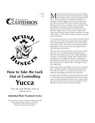 How to Take the Luck Out of Controlling Yucca - Smith