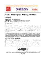 Cattle Handling and Working Facilities - Smith