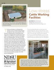 Low-stress Cattle Working Facilities