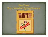 East Texas' Top 7 Weeds of Spring/Summer - Smith